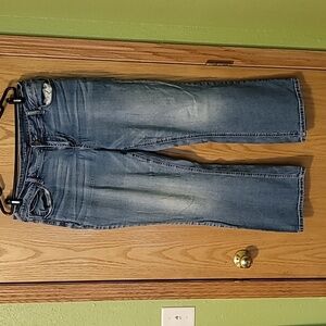 Maurices Boot cut size 16 Jeans